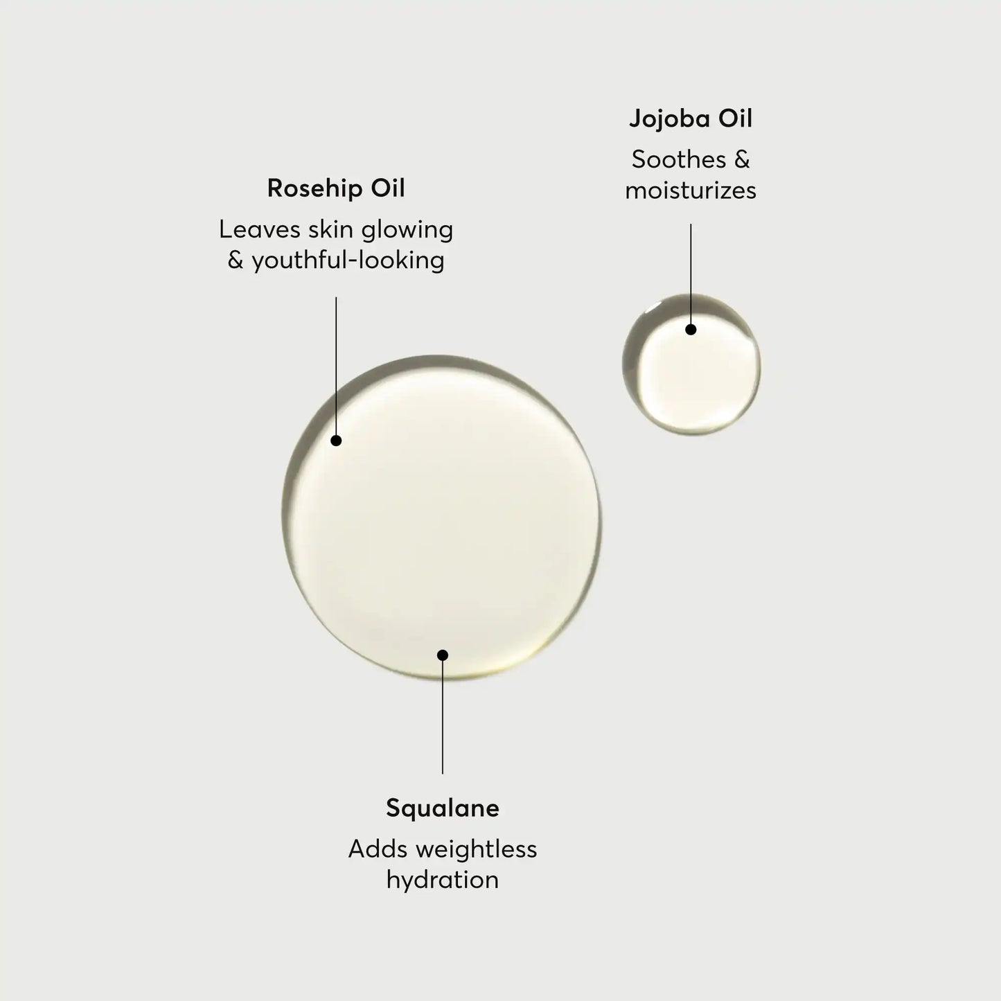 the-glow-getter-body-oil-i0 NATR-10115-Alt-Images-The-Glow-Getter-Body-Oil-01.webp