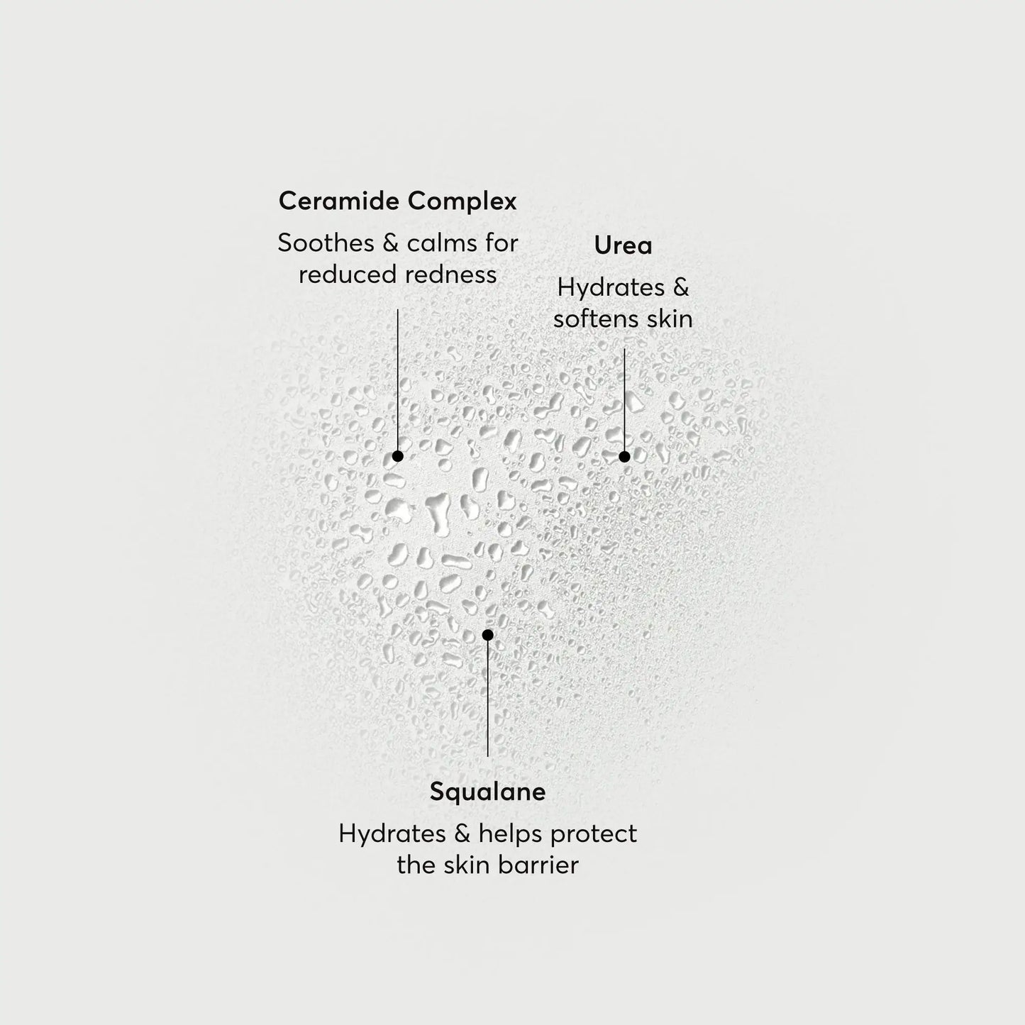 barrier-bounce-bi-phase-mist-v0 NATR-10167-Alt-Images-Barrier-Bounce-Bi-Phase-Toner-Mist_01.webp