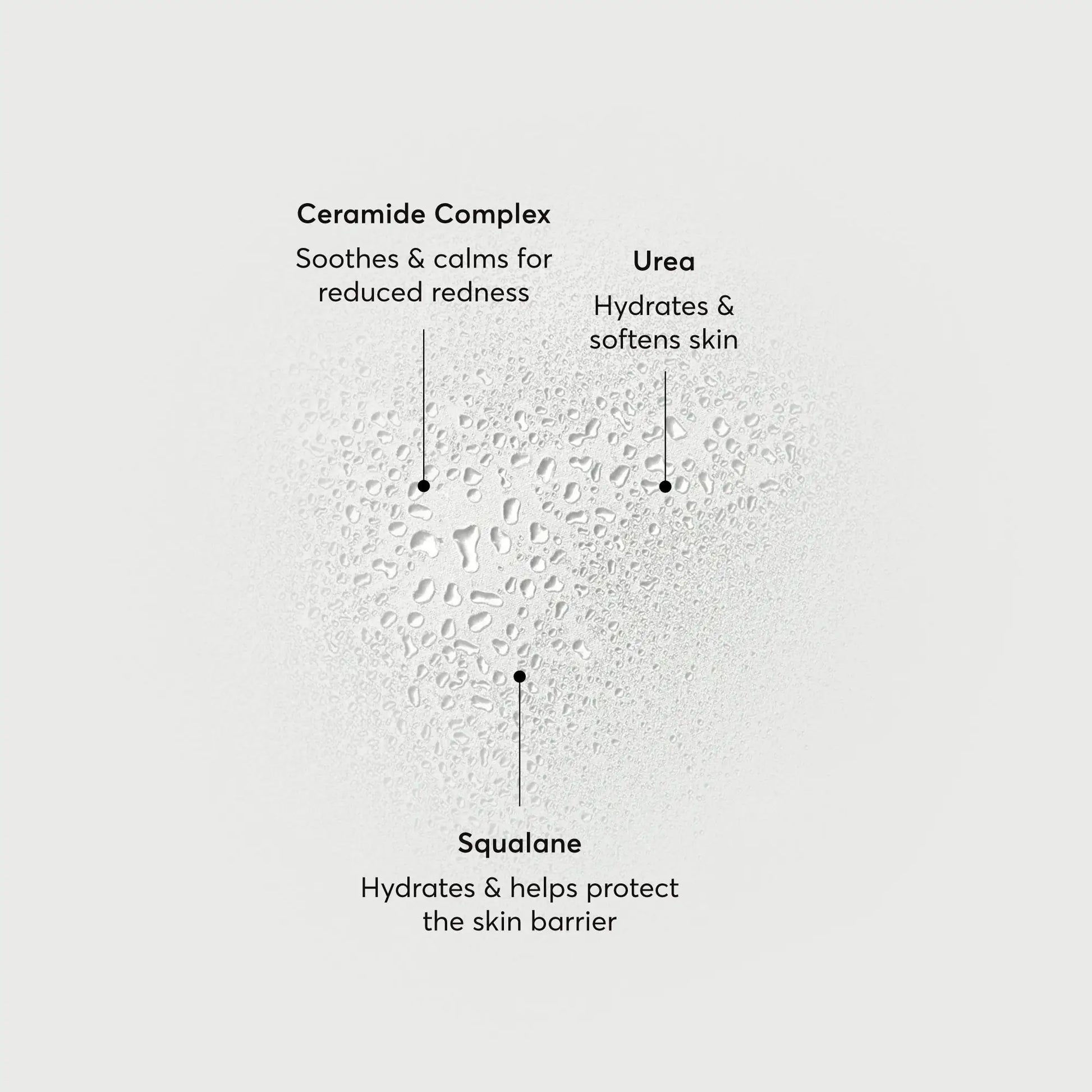 barrier-bounce-bi-phase-mist-v0 NATR-10167-Alt-Images-Barrier-Bounce-Bi-Phase-Toner-Mist_01.webp